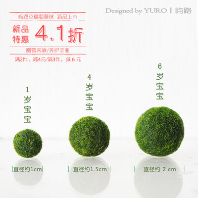 【日本正品MARIMO】幸福海藻球 日本毬藻marimo 赠营养液满2减4