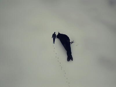 麻雀也好 燕子也好 飞鹰也好 孔雀也好 凤凰也好 乌鸦也好