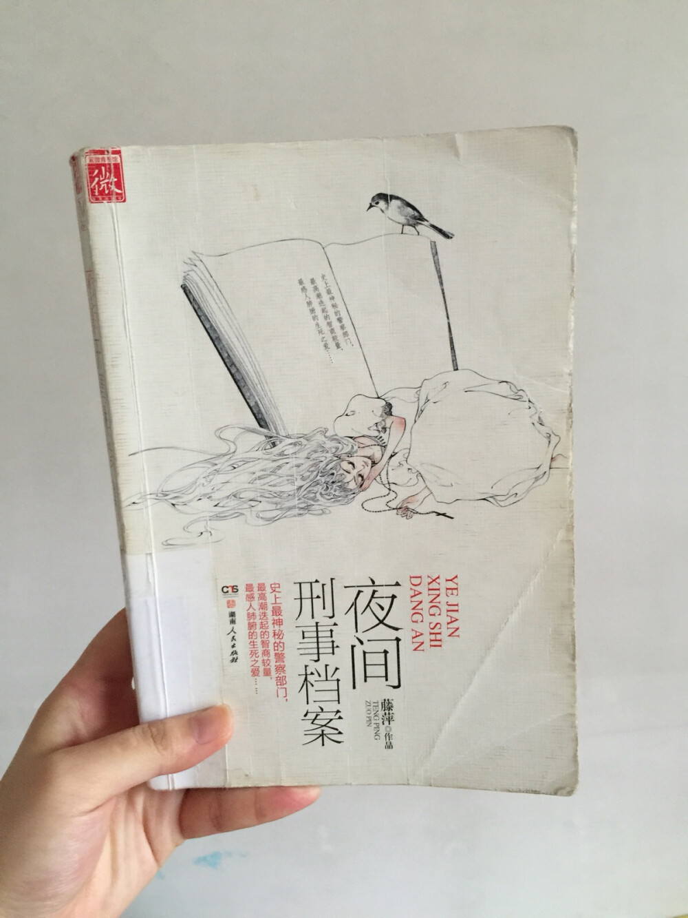 不是說(shuō)好的偵探小說(shuō)嗎 怎麼純情感 而且這個(gè)女主的腦回路我不太能跟得上？？？