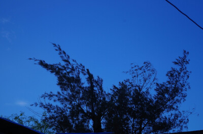 夏天 天空 摄影 伪清新 绚夏 蓝色 summer