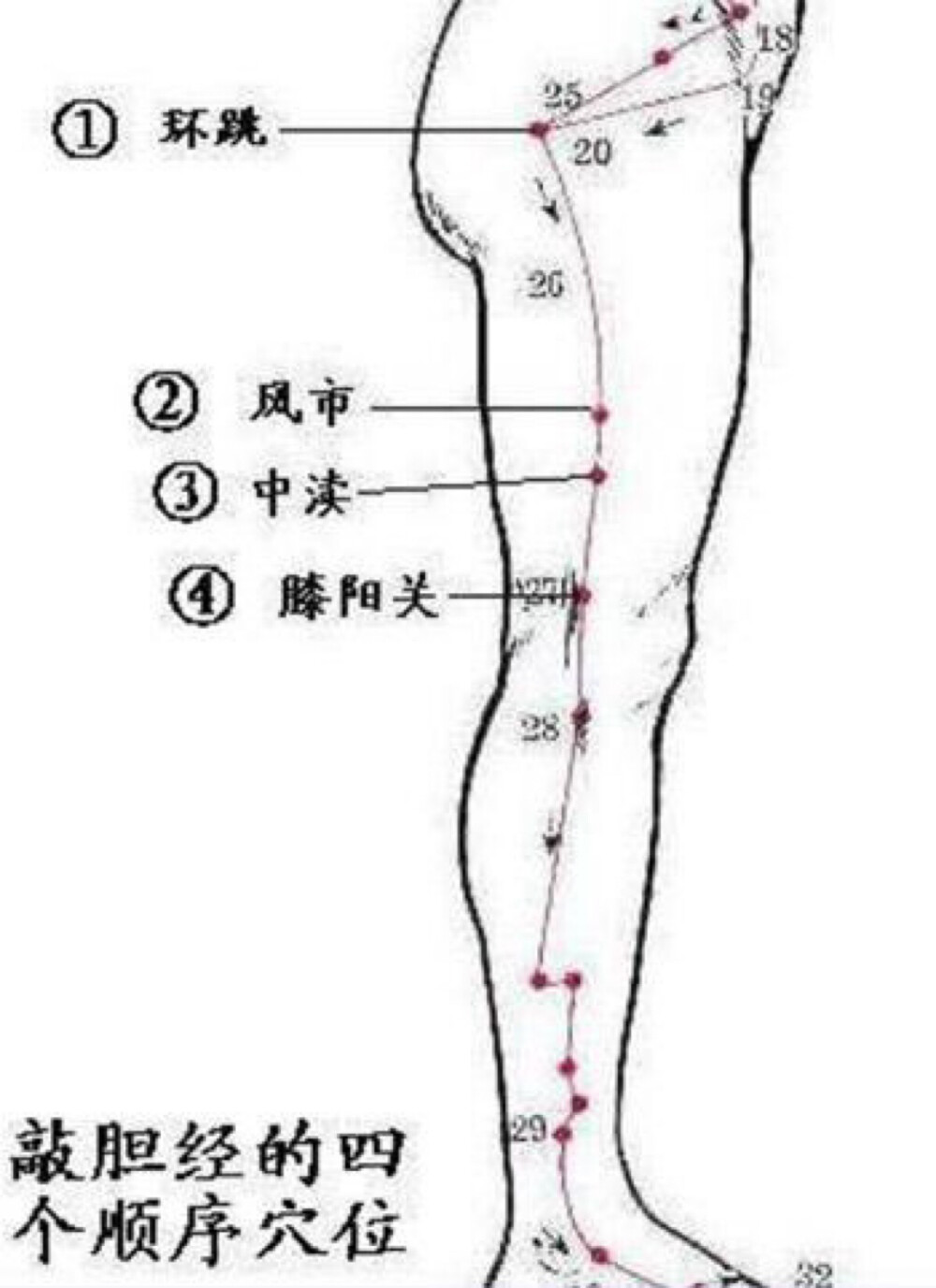 敲胆经