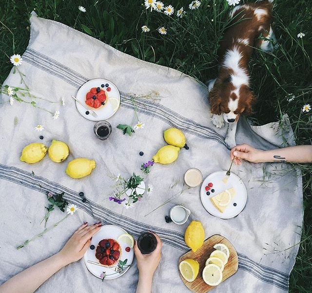 Our Food Stories
