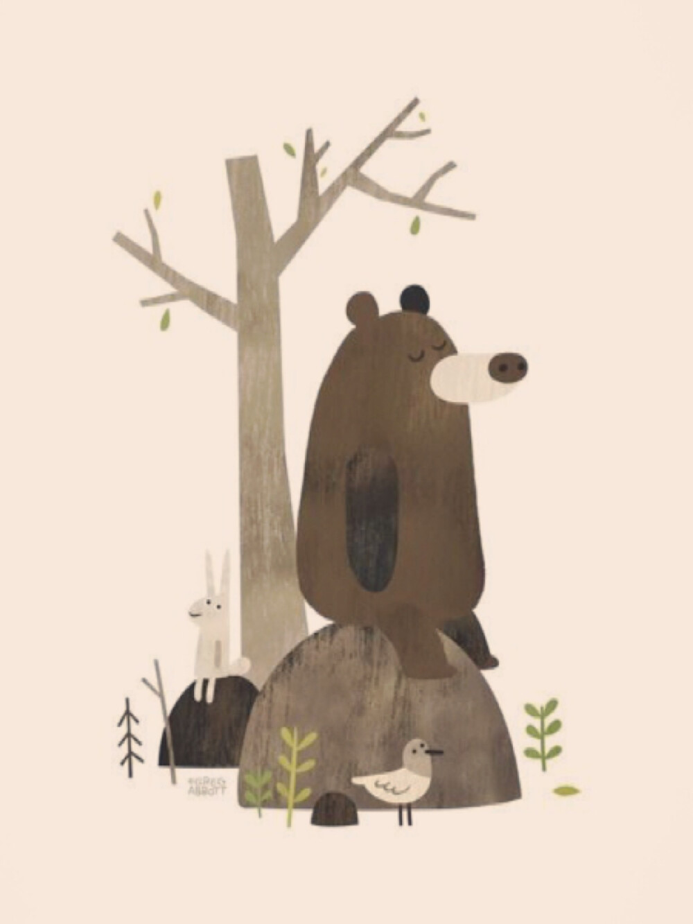 Bear