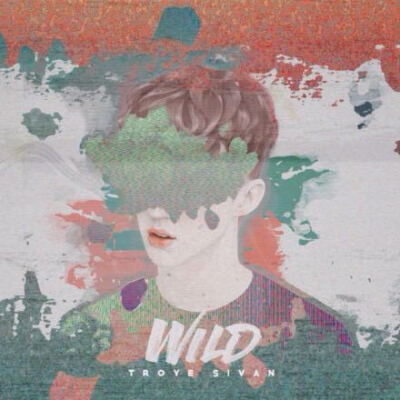 troye sivan 戳爷 WILD歌词