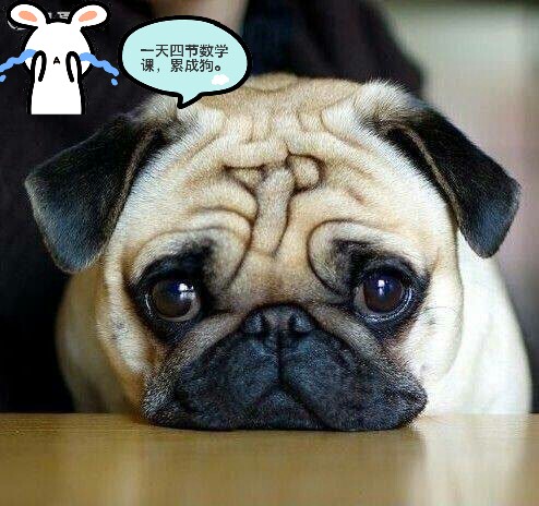 一天四节数学课，累成狗