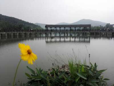 南京发现个好地方，石塘人家