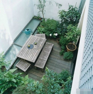 小小的庭院里  来杯茶  所谓大隐隐于市