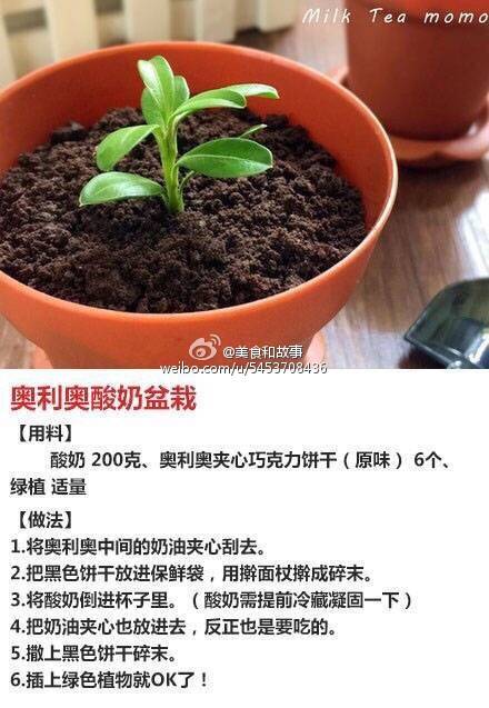 萌萌哒能吃的植物