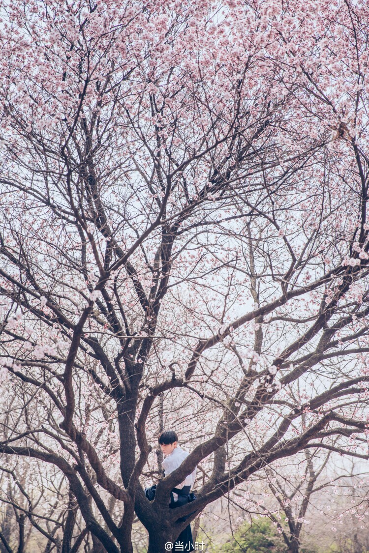 当小时摄影 日本 