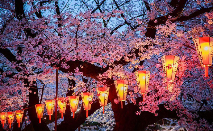 梦醒后，一场花雨醉流年