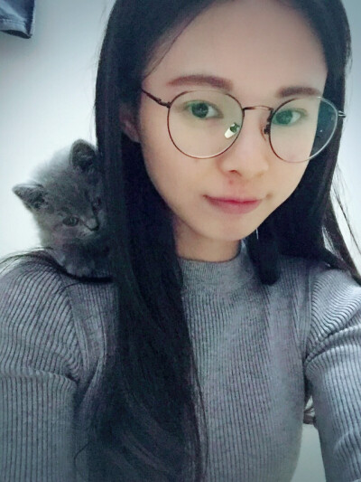 英短蓝猫么么小奶猫