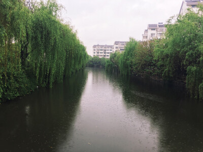 雨