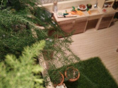 新做好的迷你厨房