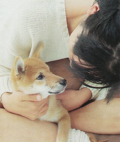 nino超可爱(*‿*✿)