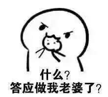 最新小饼干系列，喜欢就抱走哦