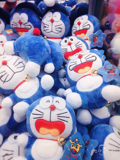 和我姐去夹娃娃