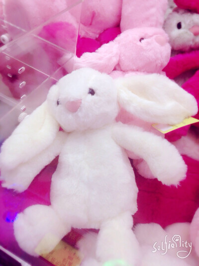 和我姐去夹娃娃