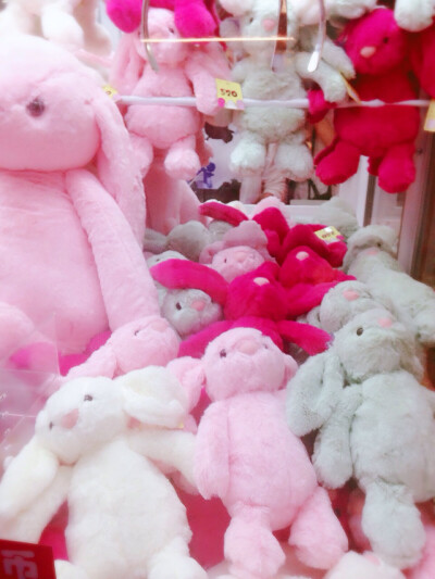 和我姐去夹娃娃