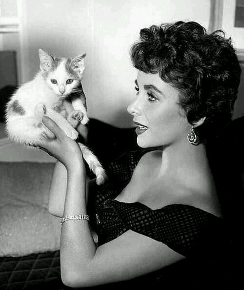 Elizabeth Taylor