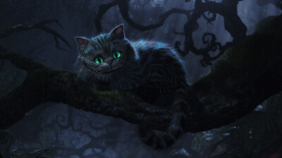 柴郡猫 Cheshire Cat