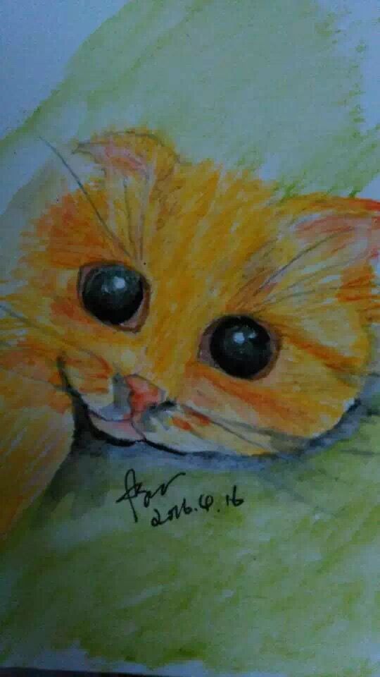 彩铅 手绘 猫 可爱