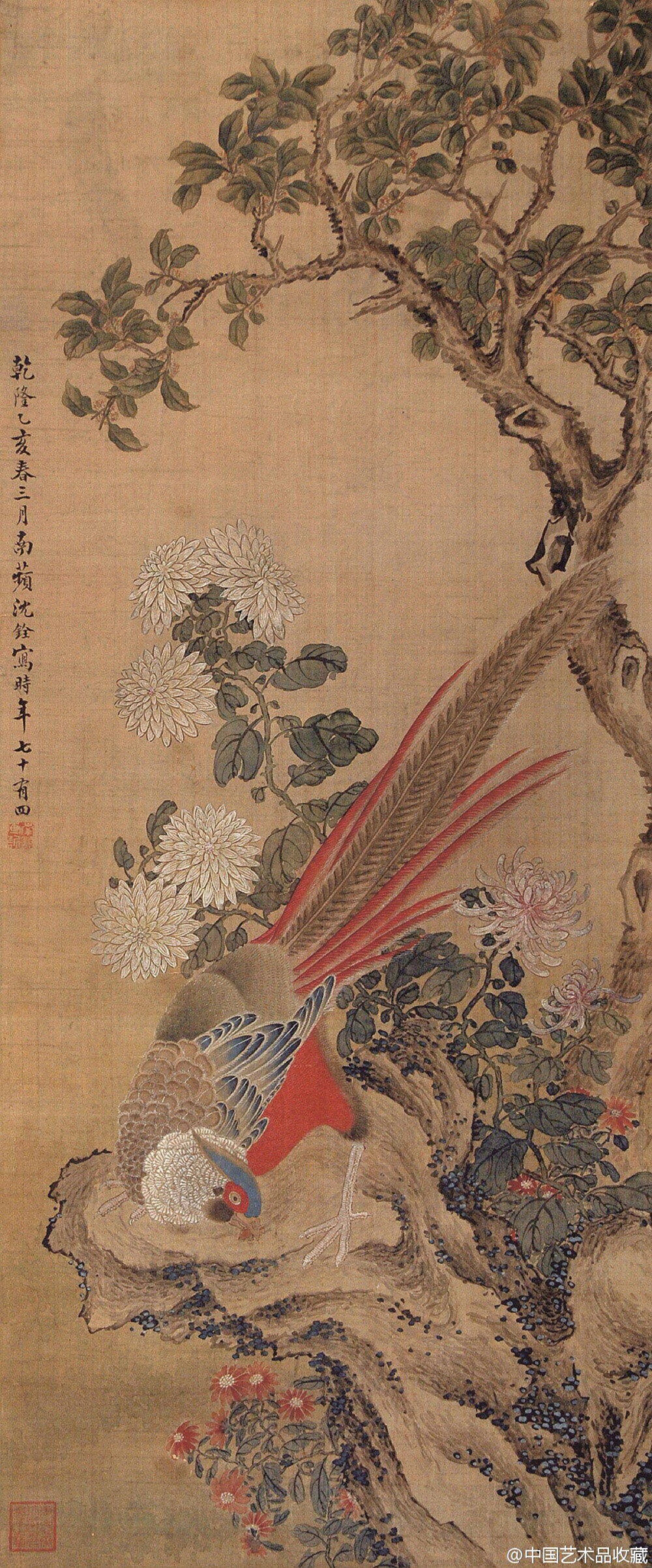 #南蘋画派#【 清 沈铨 《花鸟图》 】沈铨花鸟画风格多样，博采众家之长，“古法之佳者采之，垂绝者继之，不佳者改之，未足者增之，西方之可采者融之”。设色造型方面远宗五代时期黄筌写生法、近取吕纪画法，善绘花卉禽兽，注重写实，画风谨严工细，造型准确生动，工致精丽、赋色浓艳，极尽构梁之巧。