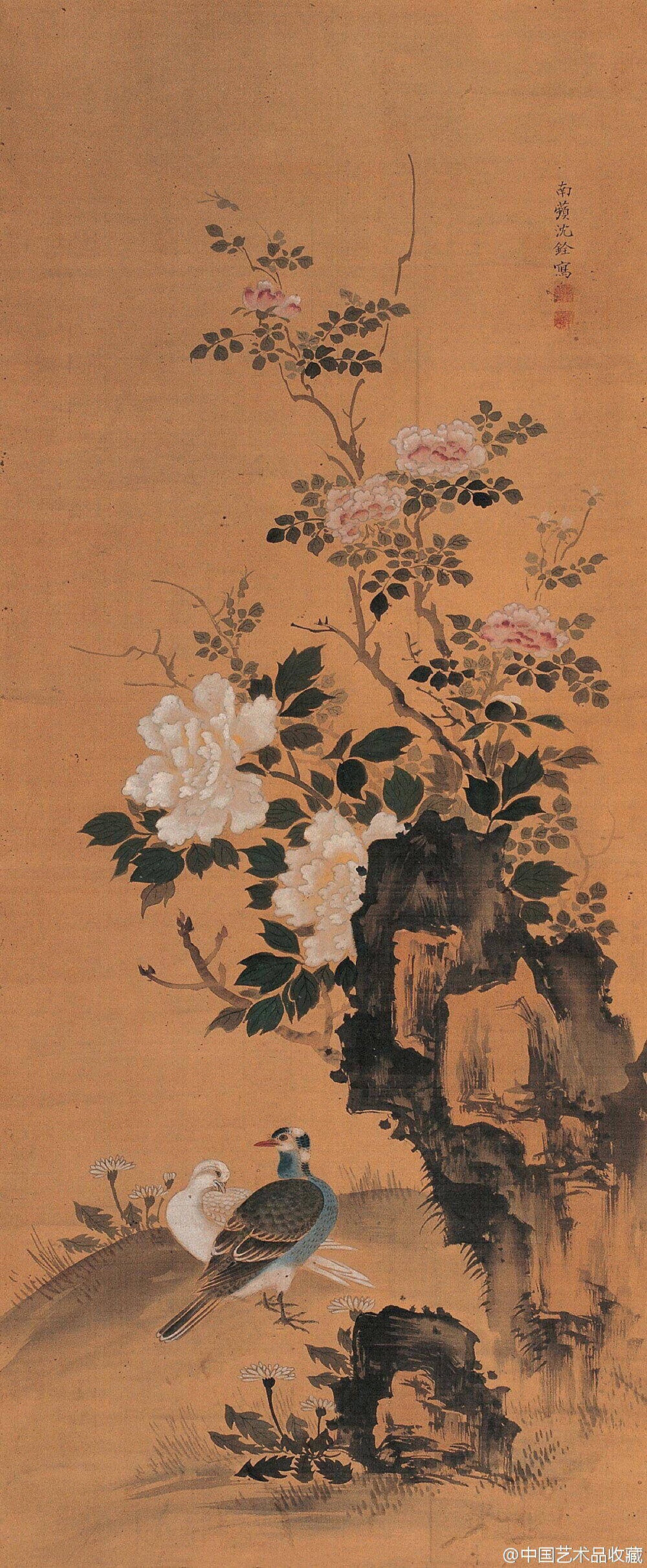 #南蘋画派#【 清 沈铨 《花鸟图》 】沈铨花鸟画风格多样，博采众家之长，“古法之佳者采之，垂绝者继之，不佳者改之，未足者增之，西方之可采者融之”。设色造型方面远宗五代时期黄筌写生法、近取吕纪画法，善绘花卉禽兽，注重写实，画风谨严工细，造型准确生动，工致精丽、赋色浓艳，极尽构梁之巧。