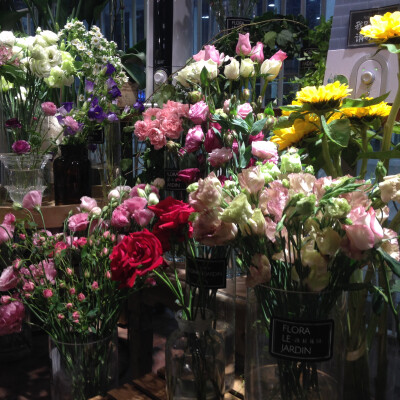 假日广场里的鲜花店，花确实有治愈能力啊~