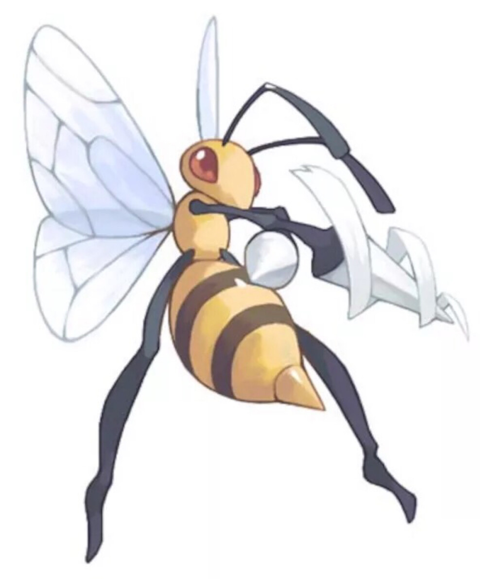 大针蜂