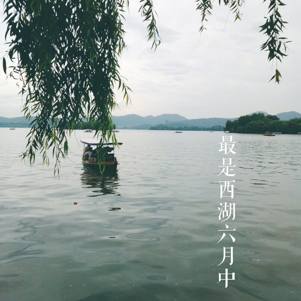 最是西湖六月中，蒙蒙雨，杭州尚阴