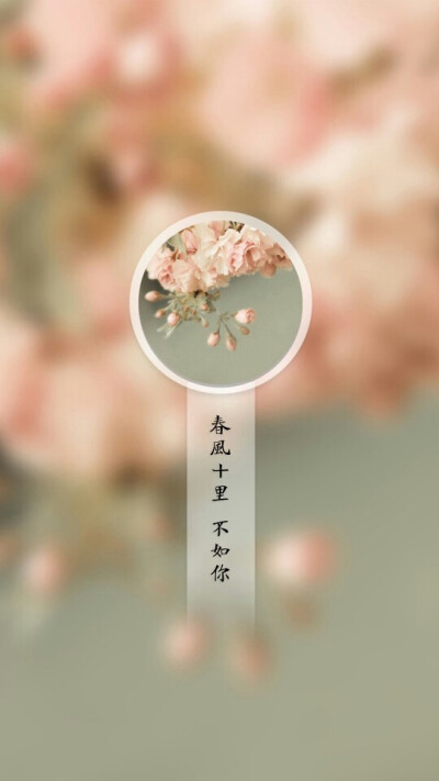 春风十里不如你