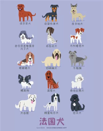 法国犬