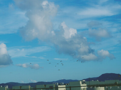 天空摄影 夏之蓝 记录这座城市的天空 每日一摄 