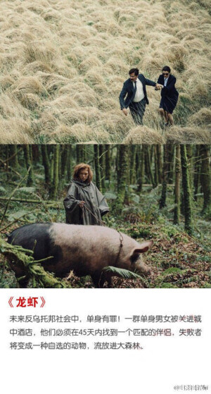 看完总觉得是部奇怪的电影。电影的主题透露出四个字：单身可耻！