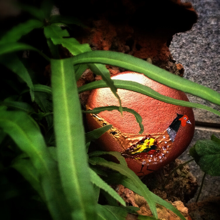 【Ms Children】小王子 手绘 石画
好久没来更新了 又重新画了一组鸟
底色选的是金色系的红铜色 match丰盛立体的羽毛
无论放在书桌 或者摆在盆栽 也是雅致