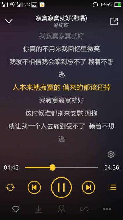 总有一首歌曲和歌词拨动着我的心和你的回忆。