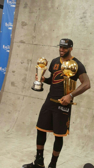 LeBron James 勒布朗·詹姆斯
2015-2016NBA总冠军 FMVP