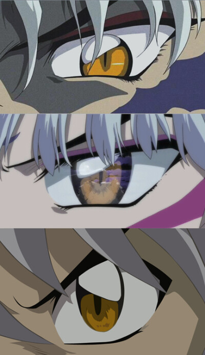 《犬夜叉》 父兄弟