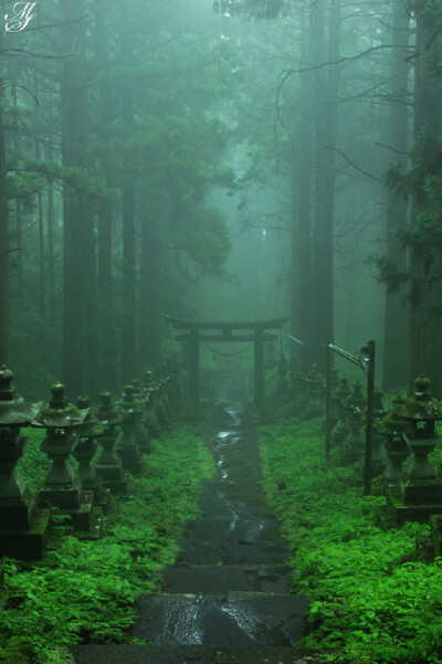 『霧雨の上色見熊野座神社』摄影师photresbienne近日拍摄的写真 没错&#xff0c;就是&lt;萤火之森&gt;里的那个神社原型。。。竹斋眠听雨&#xff0c;梦里长青苔。隔着屏幕好像都能闻到雨后清新的味道