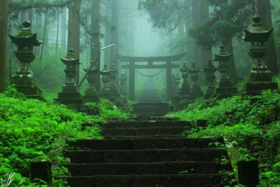 『霧雨の上色見熊野座神社』摄影师photresbienne近日拍摄的写真 没错&#xff0c;就是&lt;萤火之森&gt;里的那个神社原型。。。竹斋眠听雨&#xff0c;梦里长青苔。隔着屏幕好像都能闻到雨后清新的味道