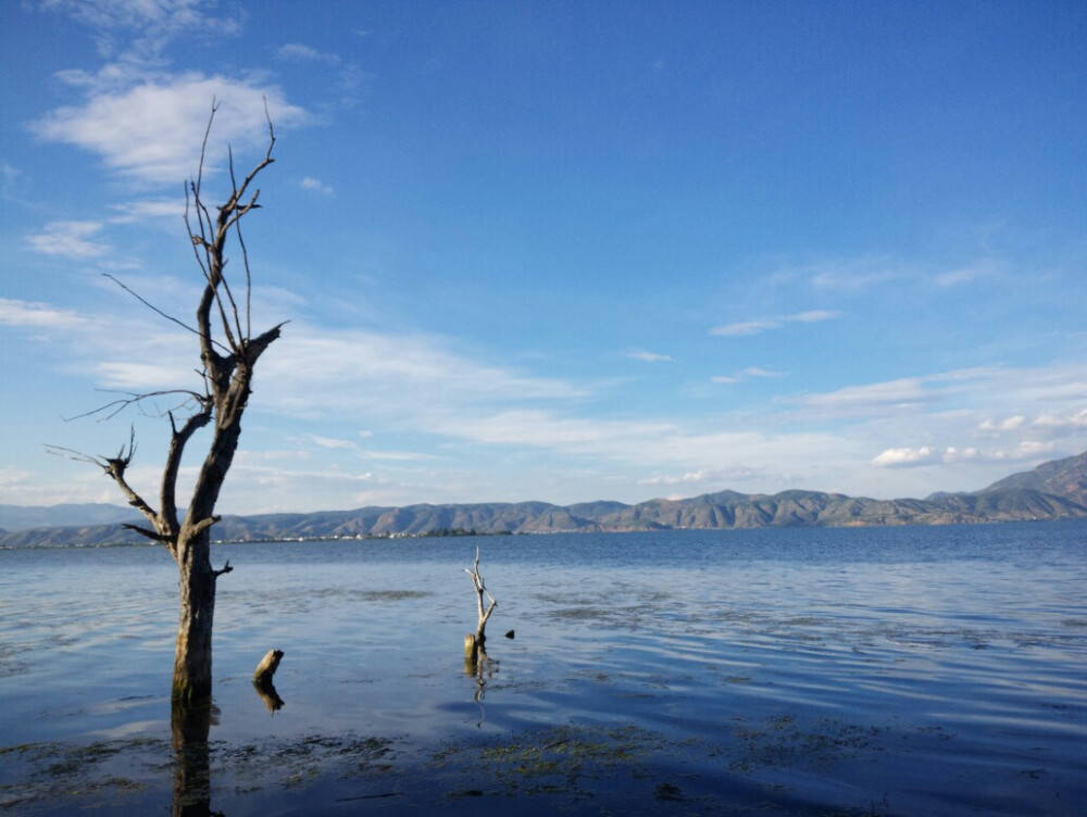 大理洱海