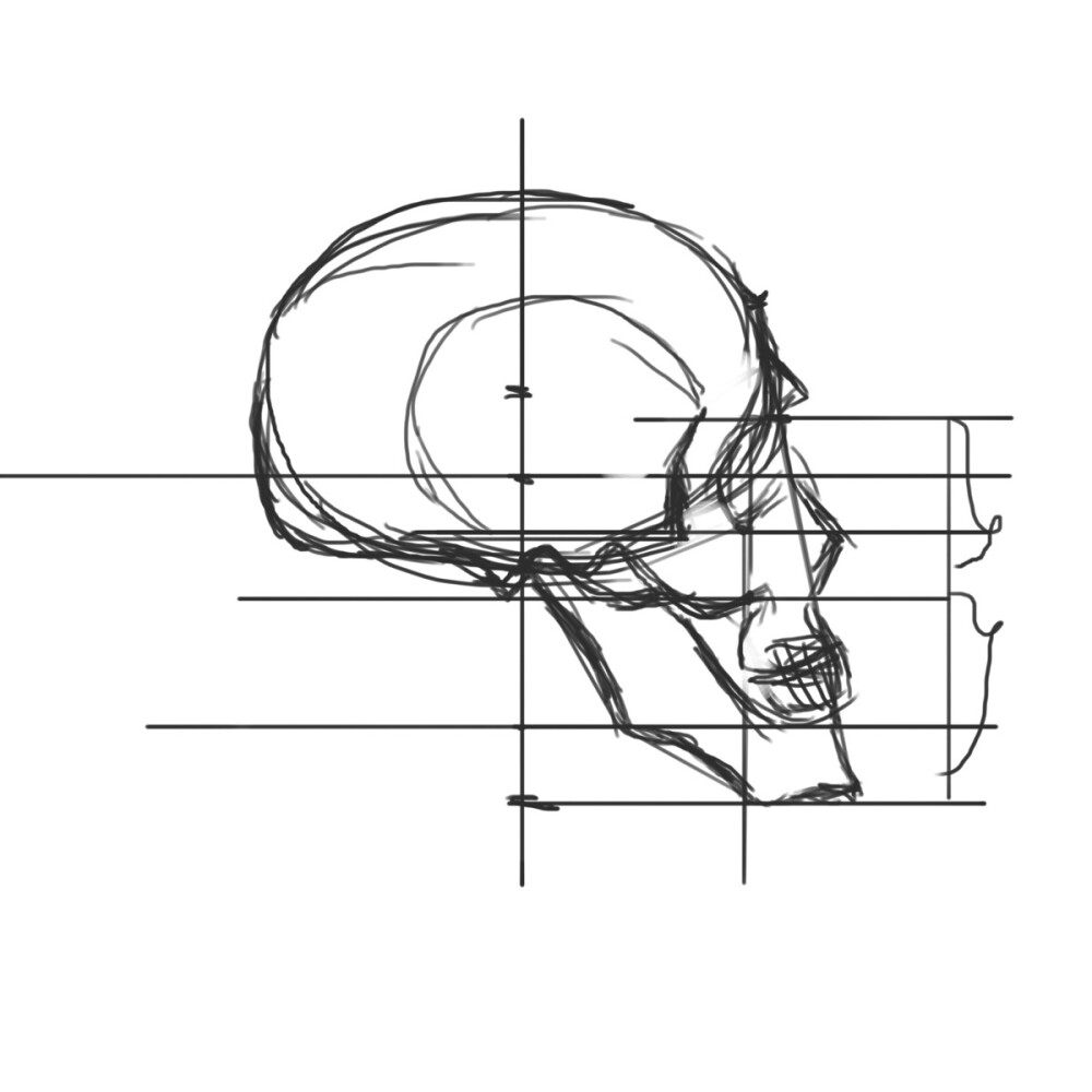 头骨画法