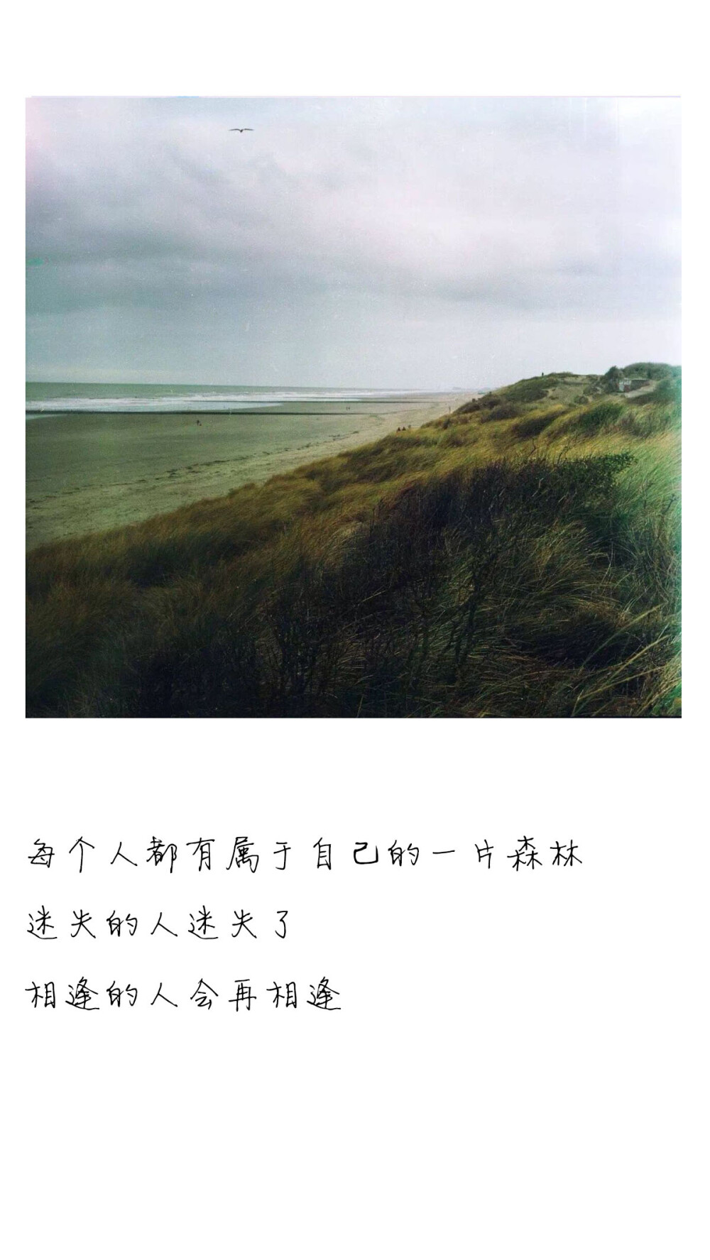 爱情村上春树文字壁纸温暖治愈赞评论更多