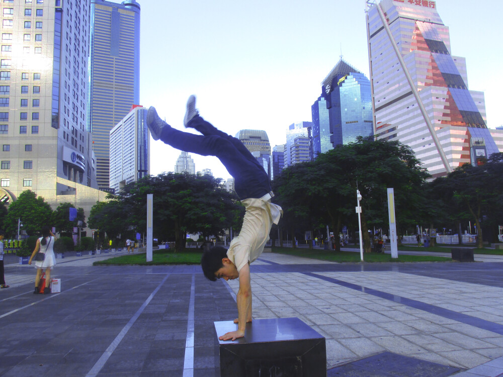 陶启全兔子凌风