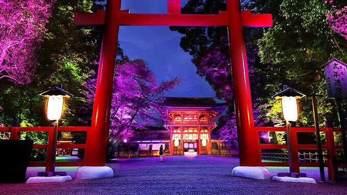 京都下鴨神社8月17号到8月31号举行的「 糺の森の光の祭」，光影交织感觉仿佛进入了另一个次元