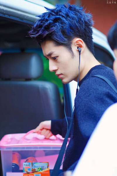 精致的眉目如画