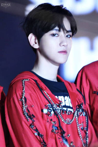 EXO 边伯贤 by偏执狂丨