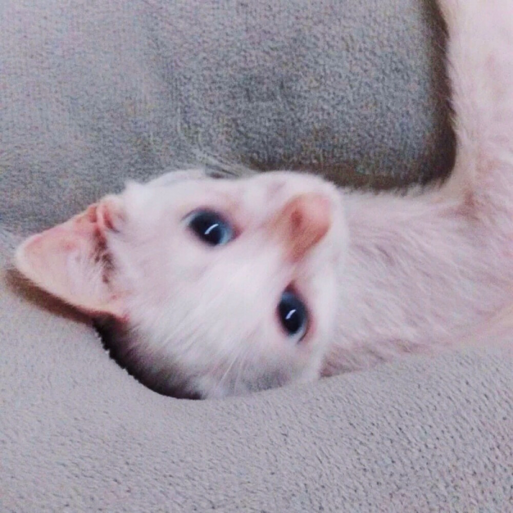 深蓝