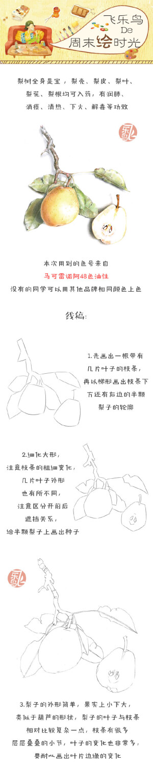 每天10分钟,跟飞乐鸟学画画-梨-连载1.做手账素材也不错哦.需要全部过程的小伙伴也可以到专辑里来学习哦.出自-飞乐鸟.