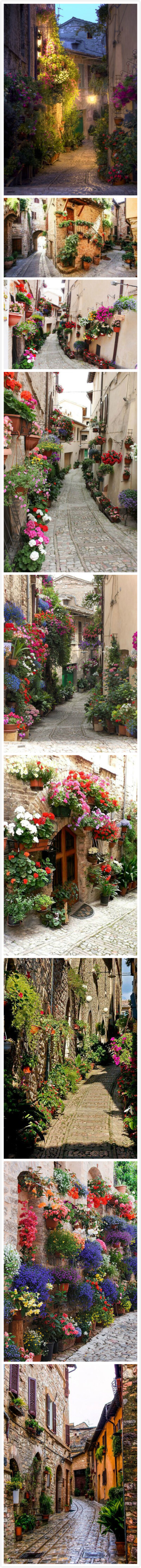 Spello——意大利斯佩罗小镇-最古罗马的小镇，这里不是人们旅行的热门目的地，也许少有人曾听闻它的名字。只是当你不经意间驾车经过，偶然一瞥，会被这满城的灿烂鲜花攫取了全部的心神。